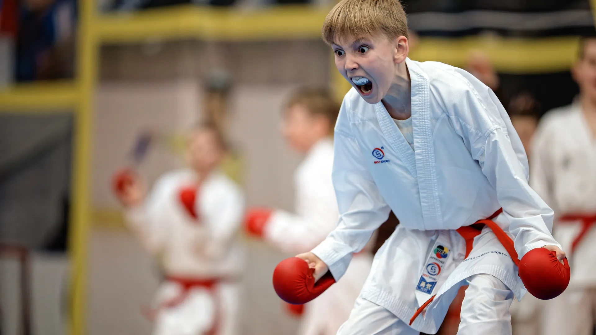 медиасток.рф