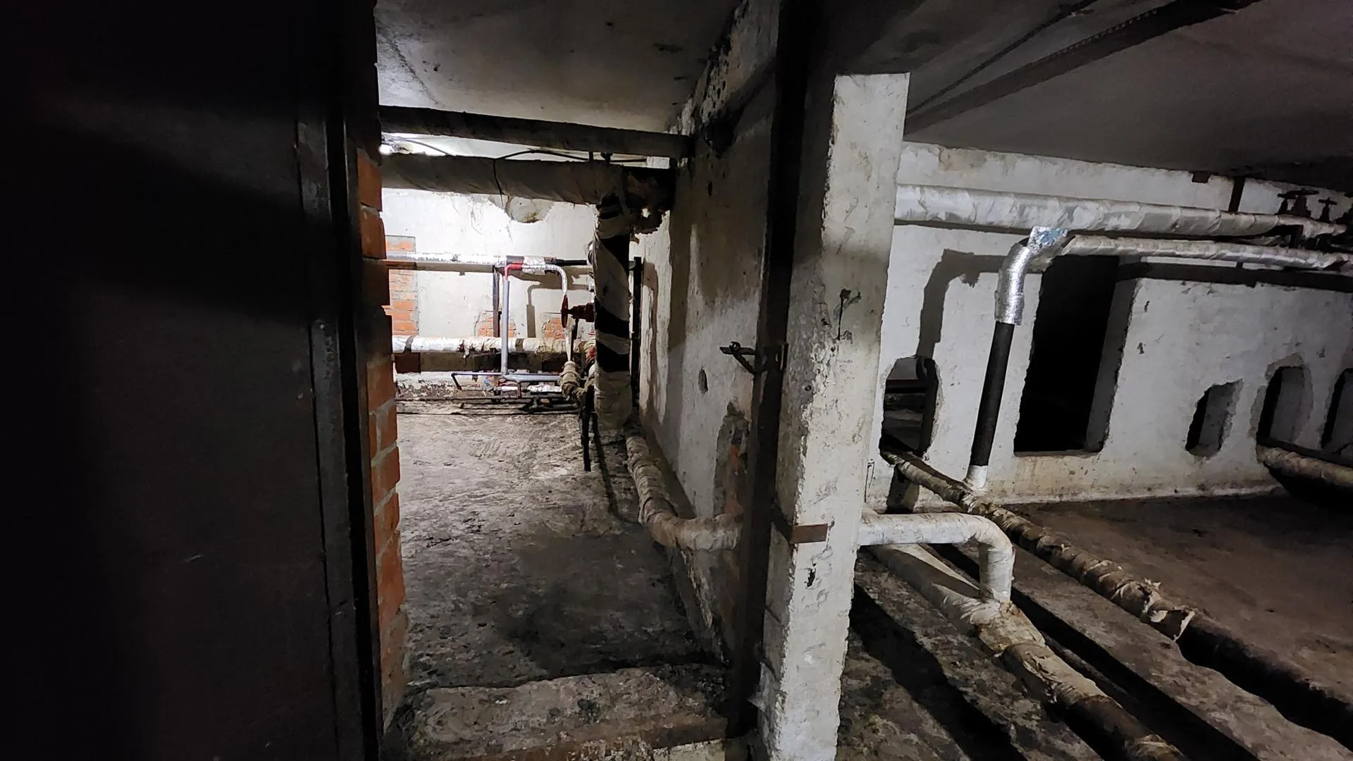 Фото: Анна Мороз