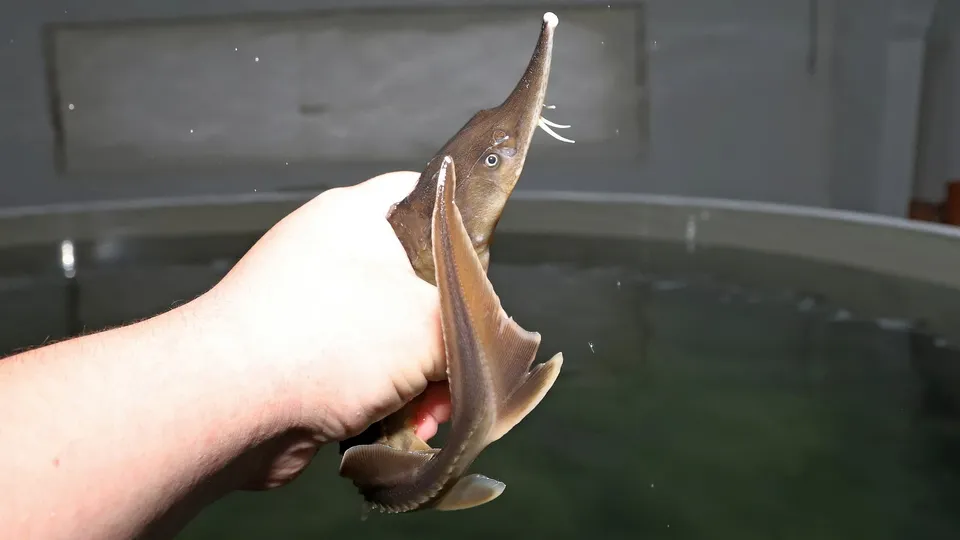 Фото: пресс-служба администрации м.о. Луховицы