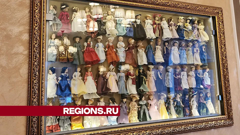 Фото: REGIONS/Александр Степушкин