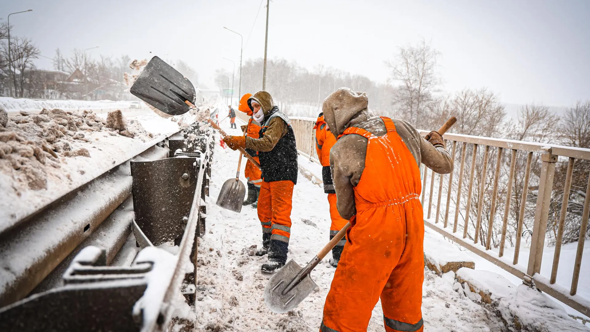 МедиаБанк Подмосковья/Данила Кирьянов