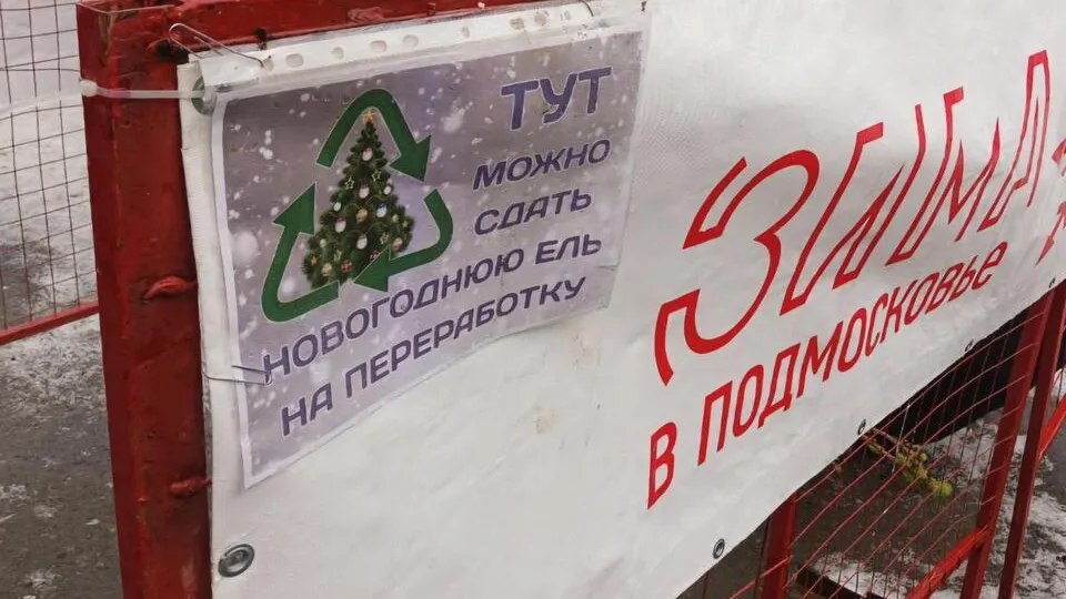 Фото: Марина Анисимова