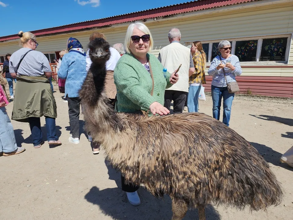 Фото: REGIONS/Александр Степушкин