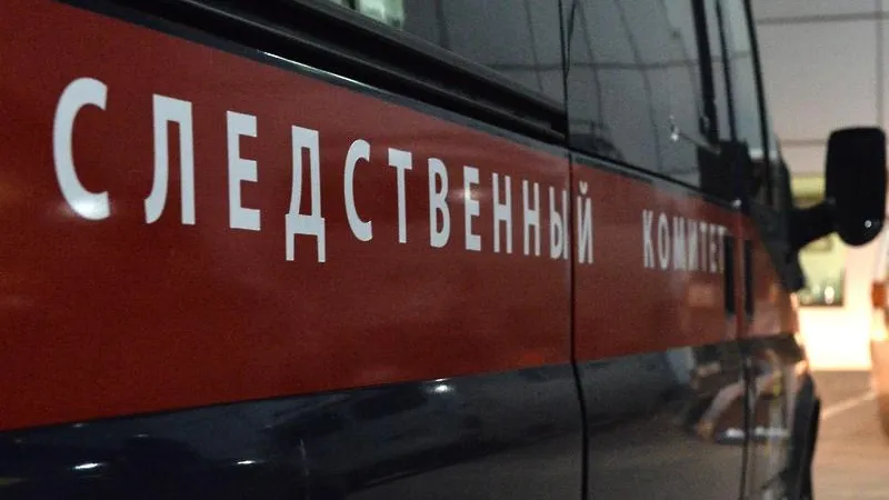 СК проводит проверку после гибели двух детей, провалившихся под лед в Подольске
