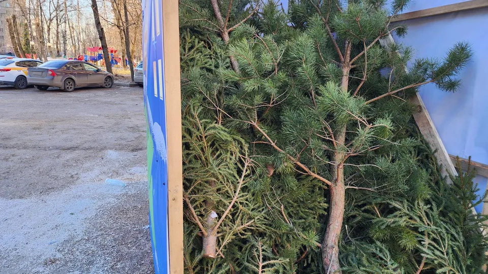 Фото: Услада Дубинина