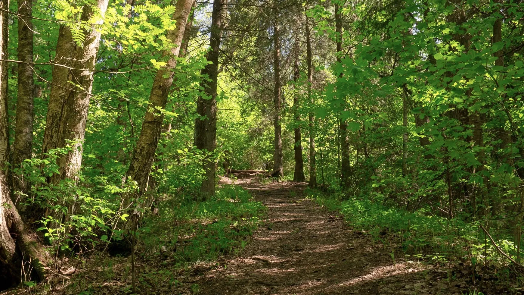Фото: пресс-служба администрации Одинцовского г.о.