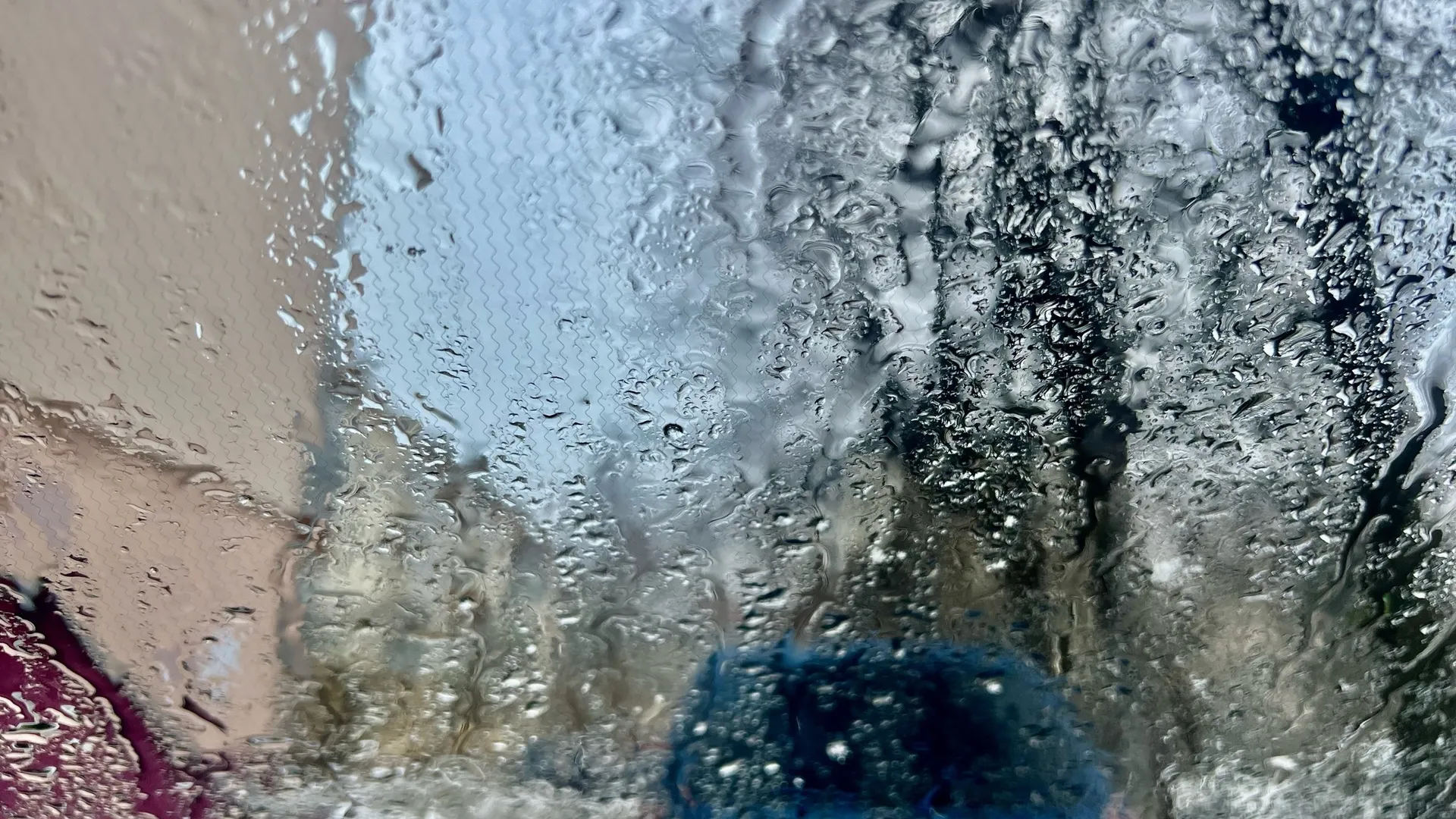 Фото: REGIONS/Татьяна Кордюкова