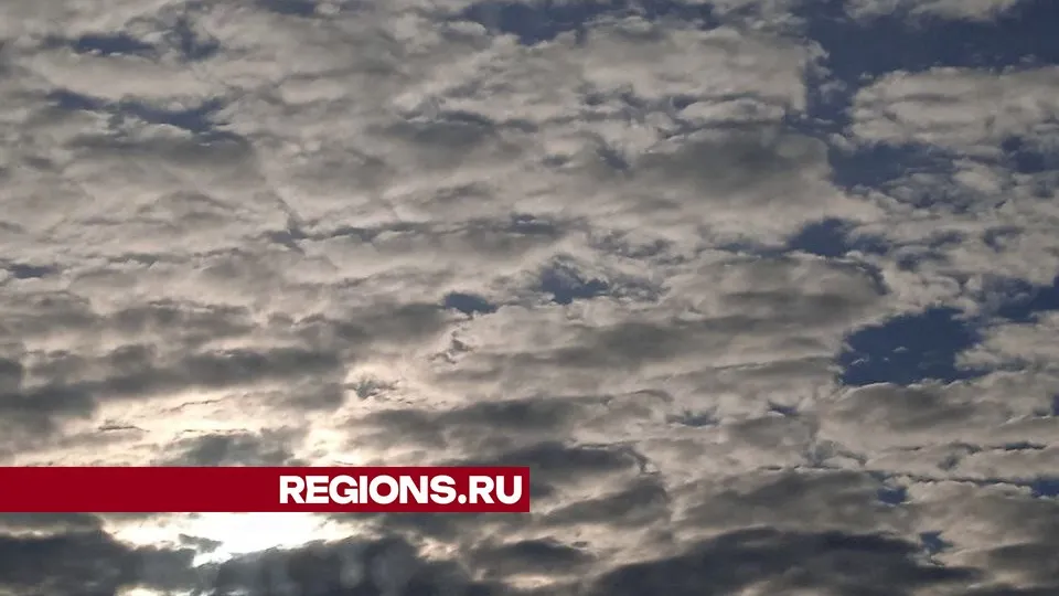 Фото: REGIONS/Юлия Куделькина