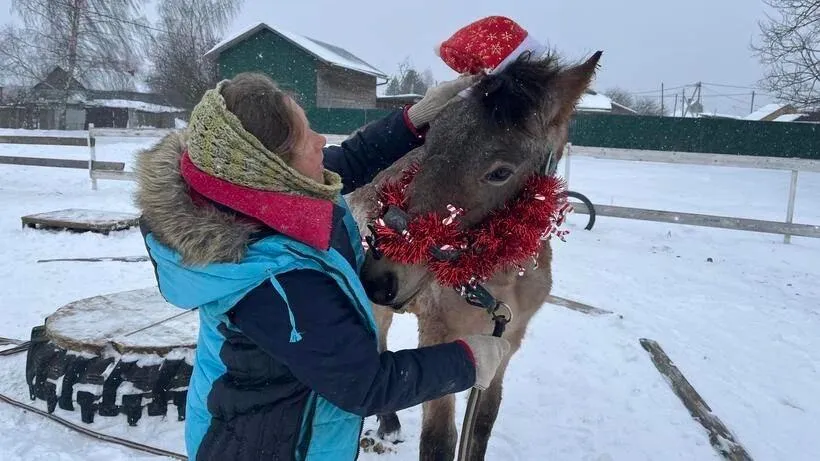фото: РИАМО