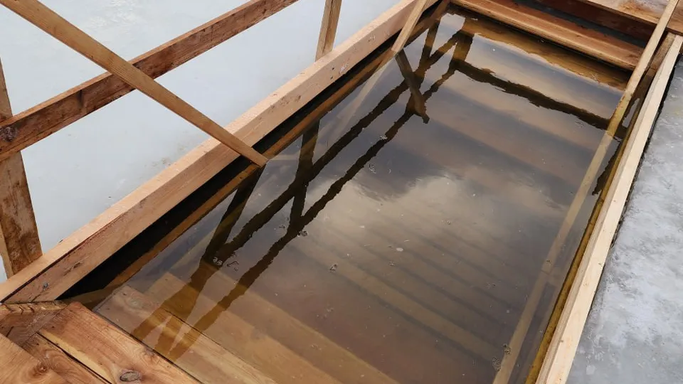 Фото: МедиаБанк Подмосковья/Валерия Тингаева