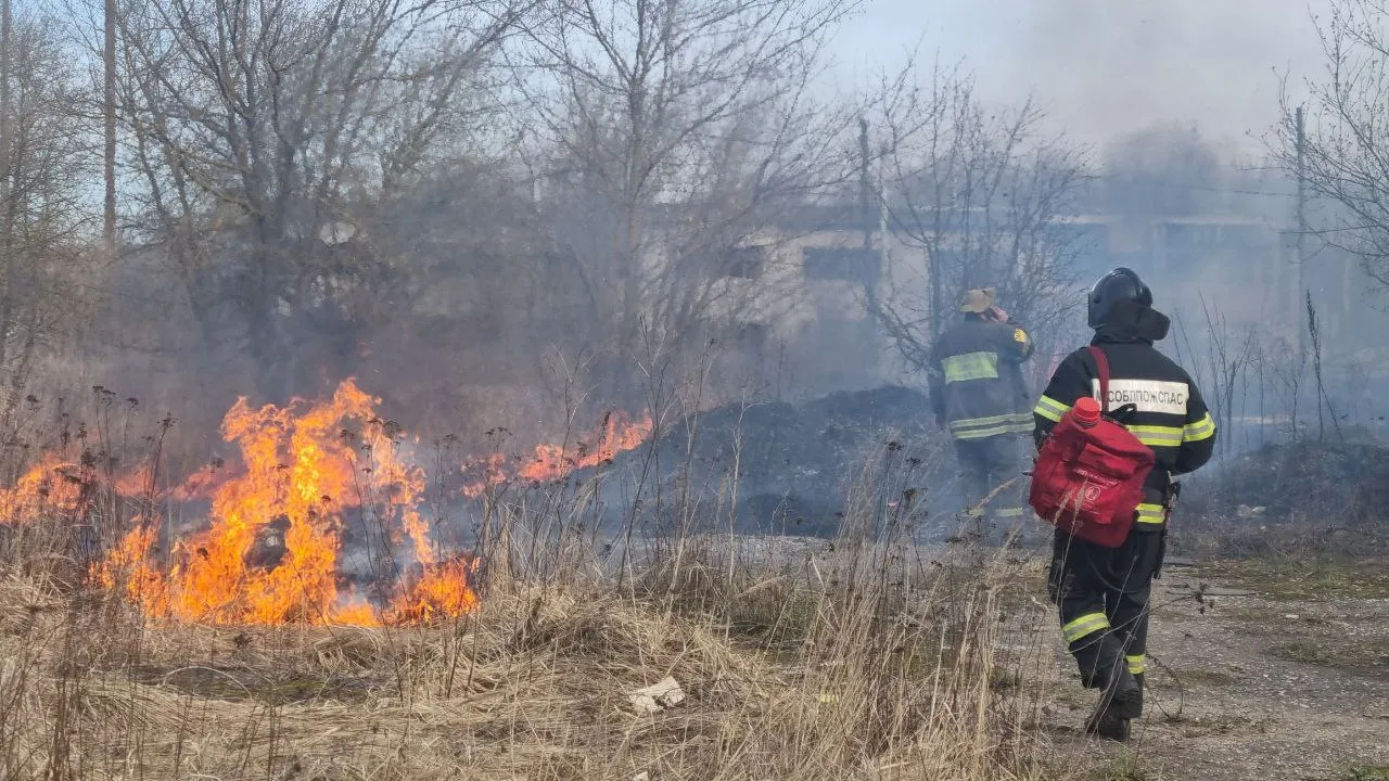 Фото: Анна Иванова