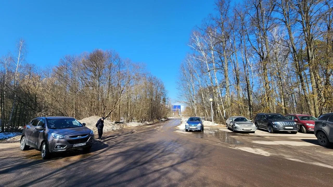 REGIONS/Анна Мороз