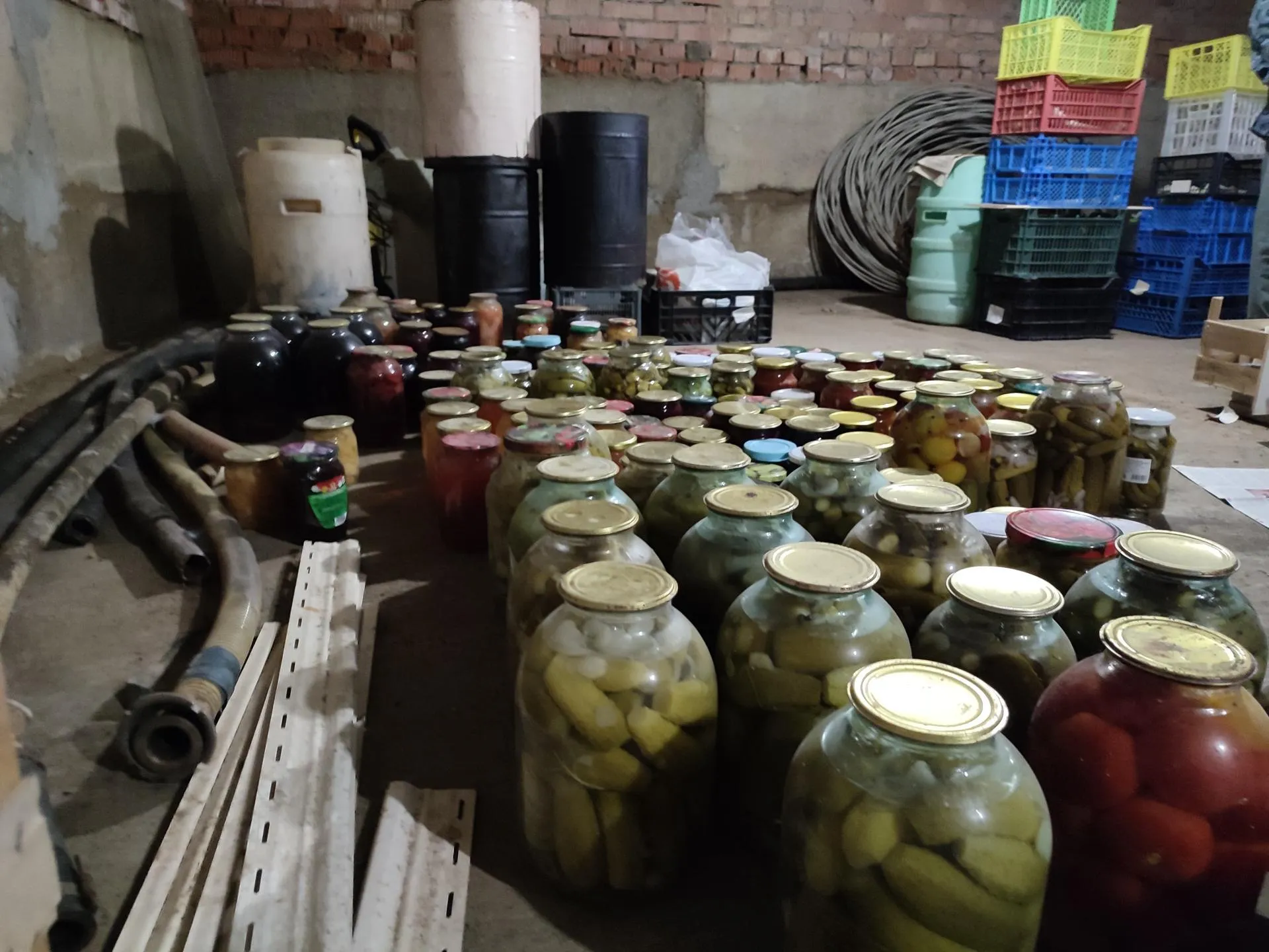 Фото: Анастасия Калмыкова