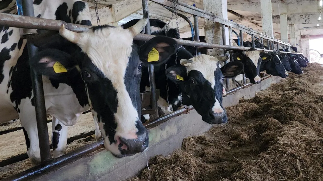 Фото: Екатерина Данилина