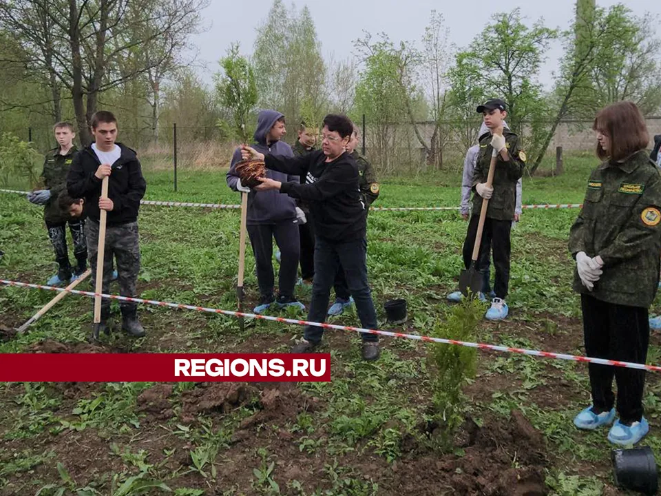 Фото: Андрей Семибратов