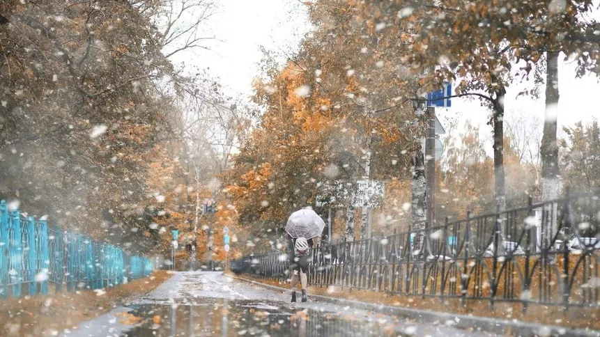 Фото: freepik.com