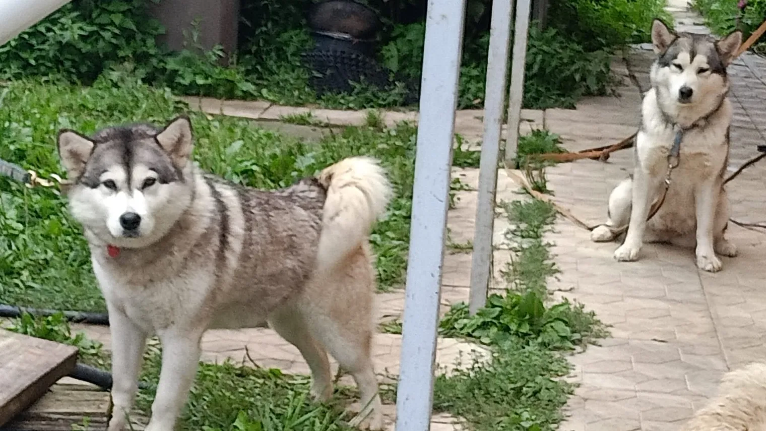 Фото: Светлана Бикина