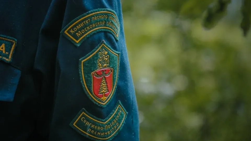 Фото: пресс-служба администрации Сергиево-Посадского г.о.