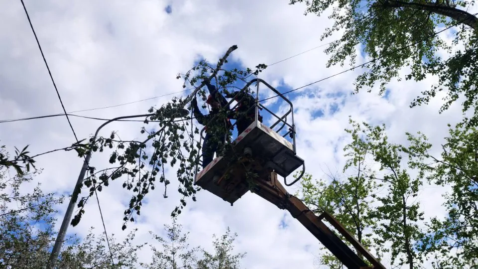 Фото: пресс-служба администрации г.о. Лобня