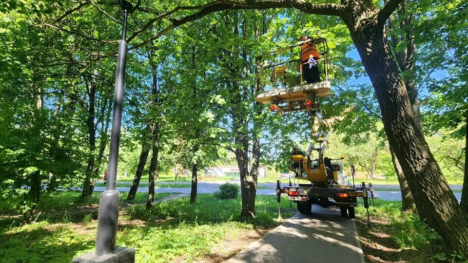 Фото: Мария Панина