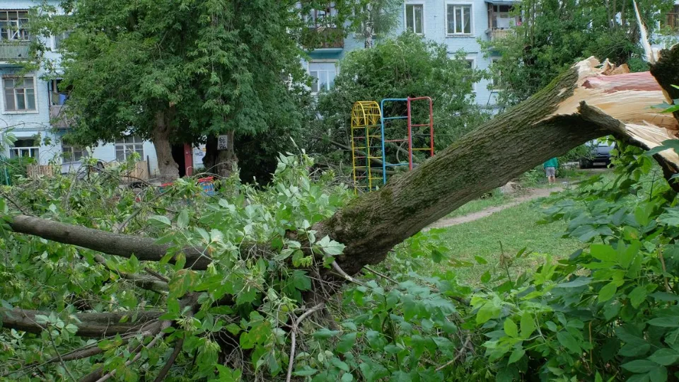 Фото: медиасток.рф