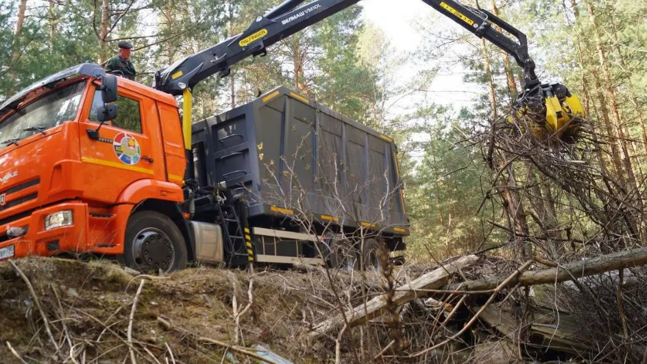 Фото: Комлесхоз МО