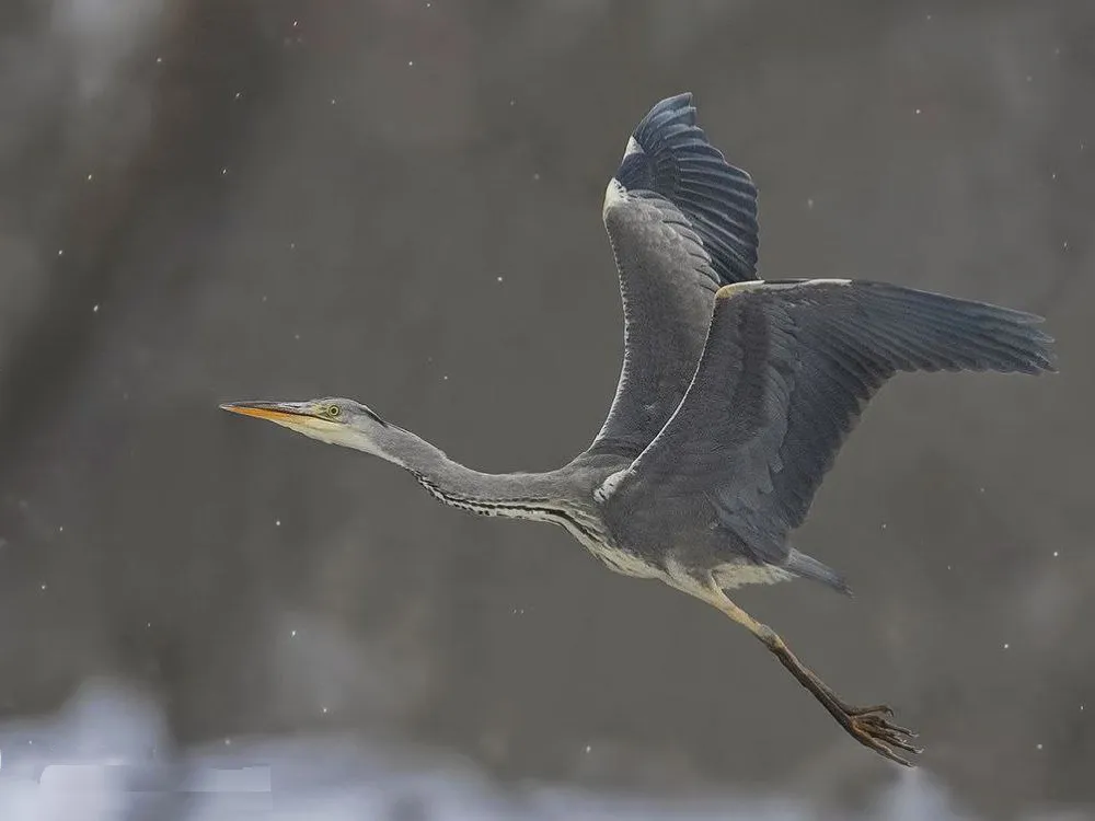 Фото: личный архив Елены Швыдун