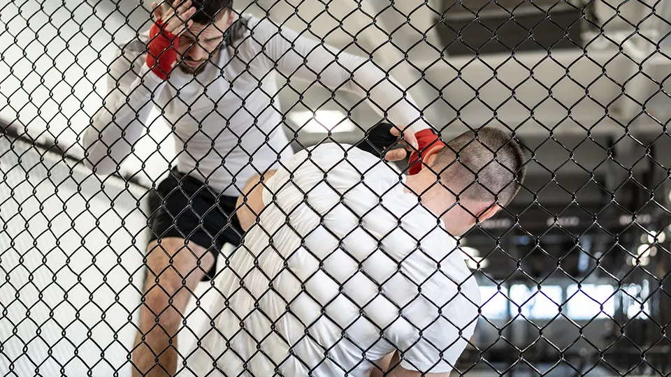 Фото: istockphoto.com/Nikola Milosevic