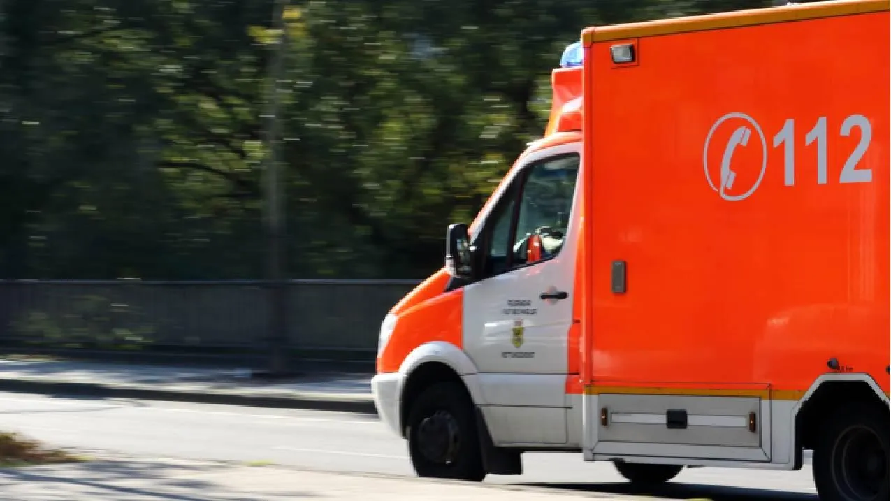 Могли пострадать россияне: туристический автобус слетел с дороги и застрял на горе в Таиланде