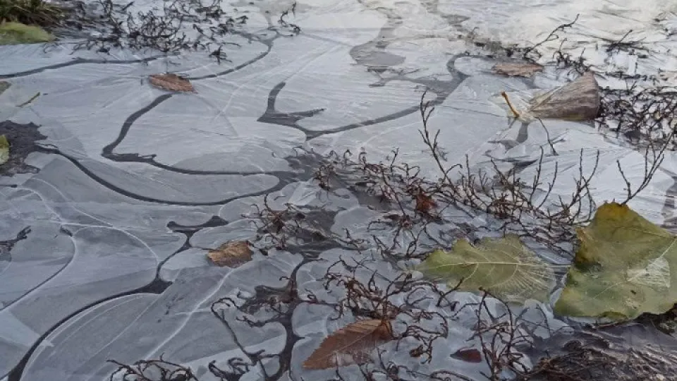 Фото: МедиаБанк Подмосковья/Эльвира Сафина