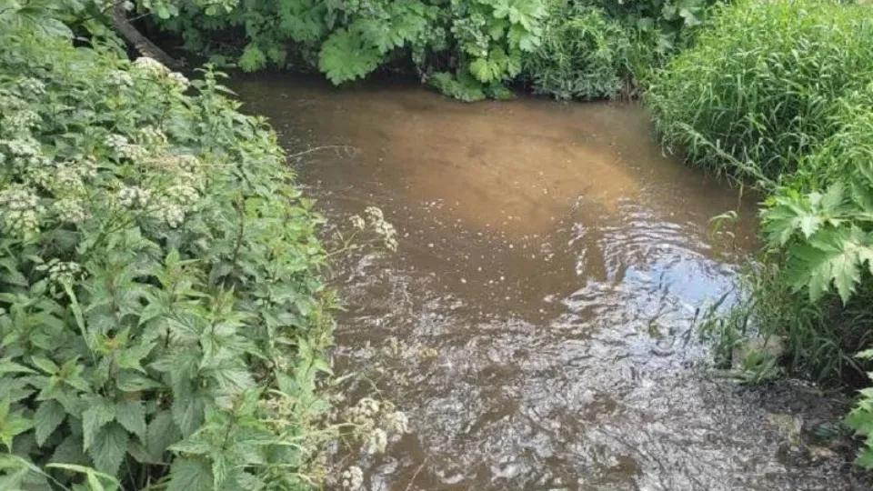 Фото: Министерство экологии и природопользования Московской области