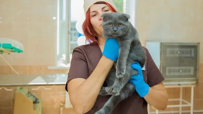 Фото: Министерство сельского хозяйства и продовольствия МО