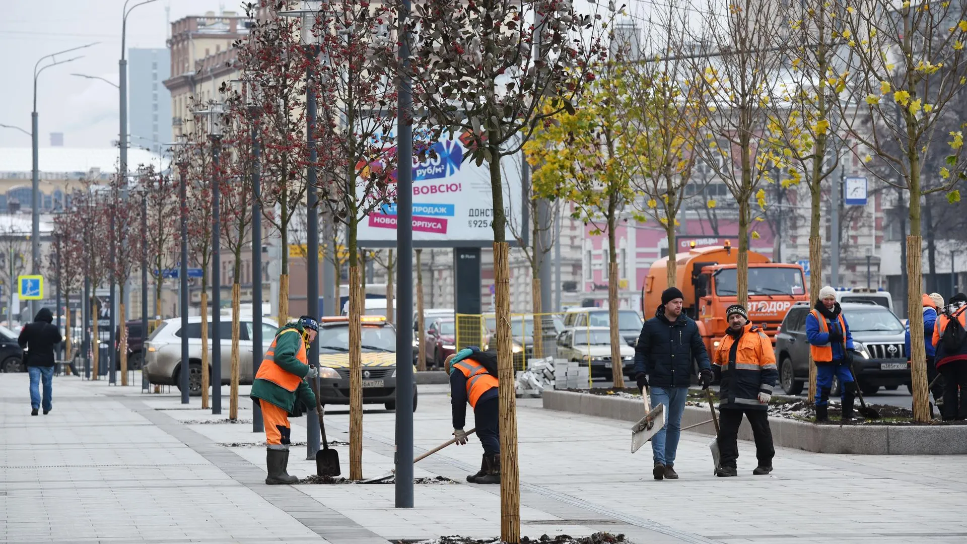Еще почти 80 деревьев высадили в центре Рязани в выходные