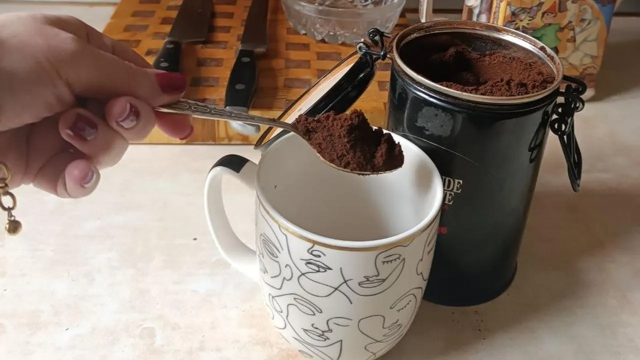 REGIONS/Наталья Фомина