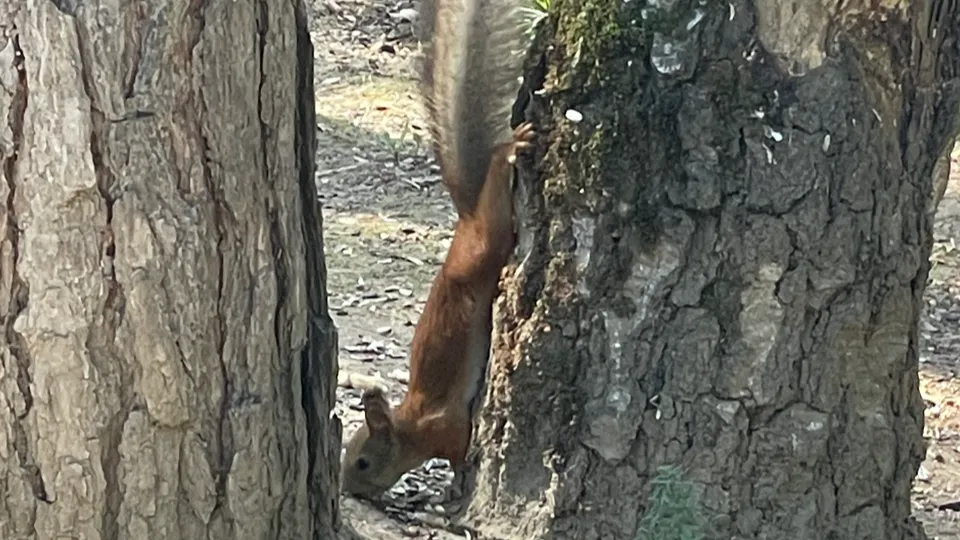 Фото: Владимир Харламов