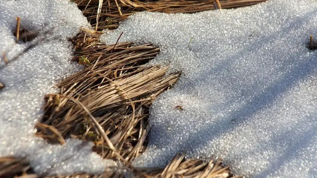 медиасток.рф