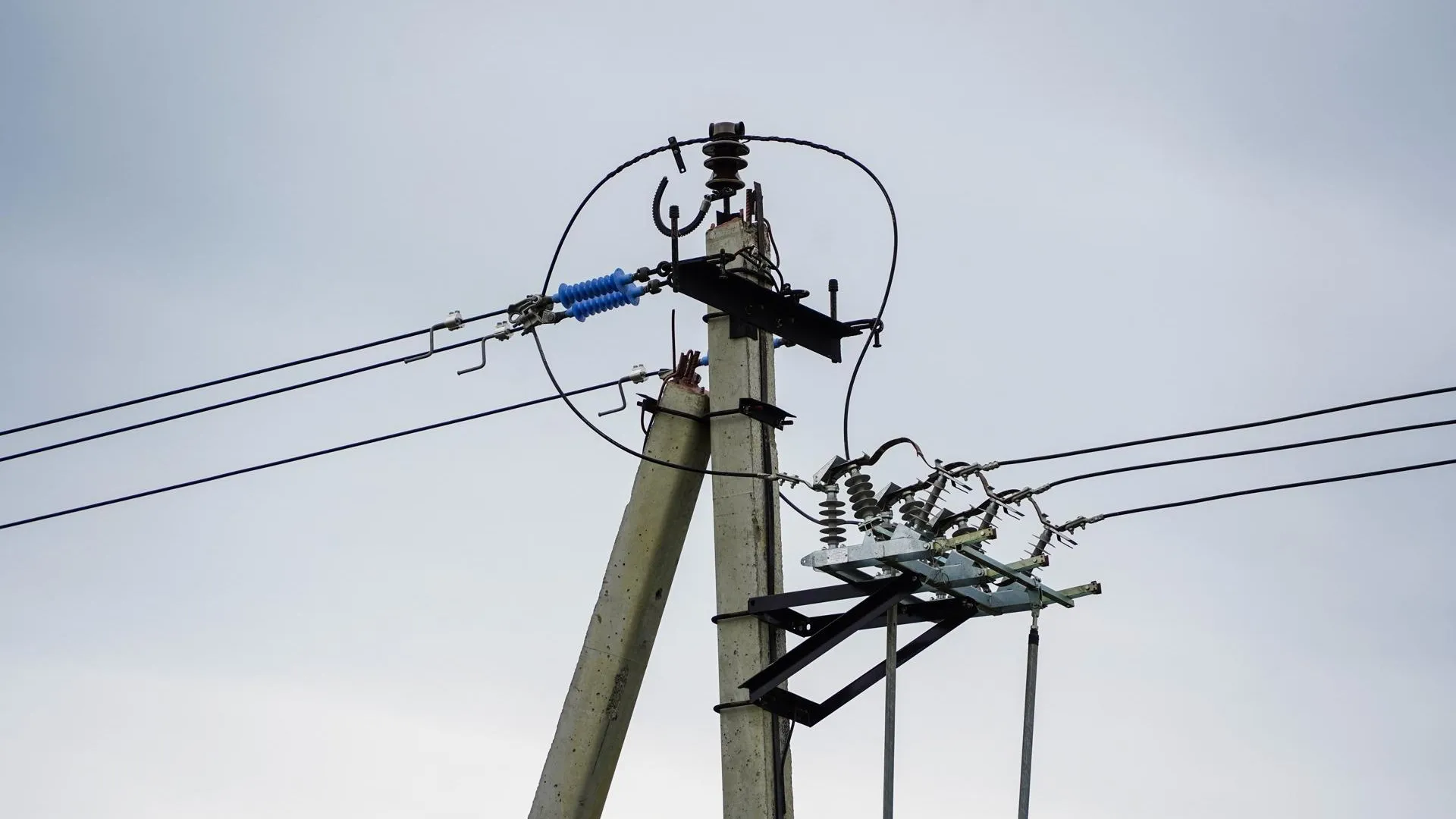 Фото: Даниил Коблов