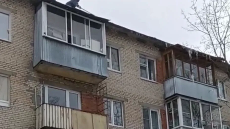 Фото: пресс-служба администрации г.о. Черноголовка