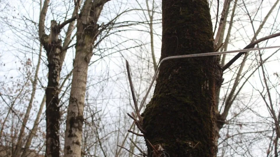 Фото: Совет депутатов городского округа Фрязино