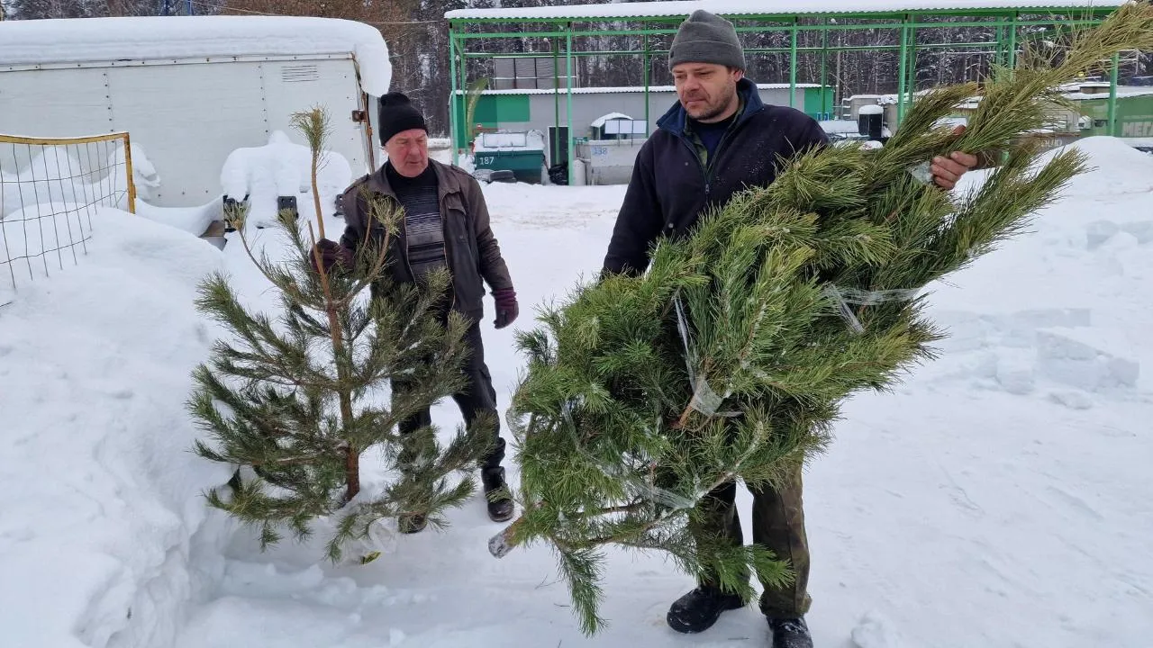 Виктория Фортуна