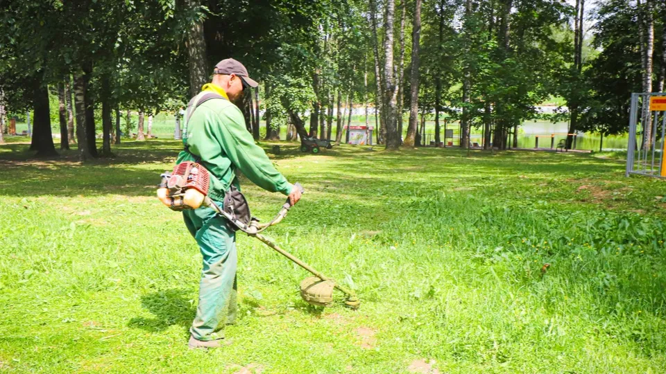 Фото: МедиаБанк Подмосковья/Данила Кирьянов
