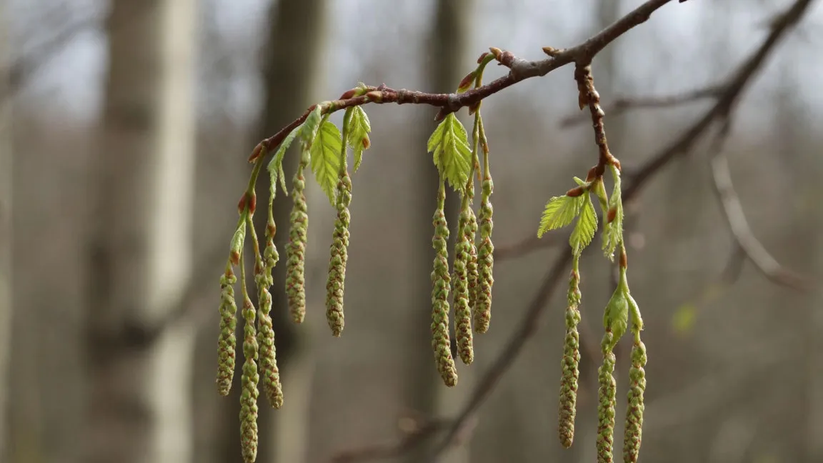 Фото: REGIONS/Сгенерировано нейросетью