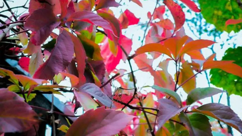 Фото: REGIONS/Роман Малышенко