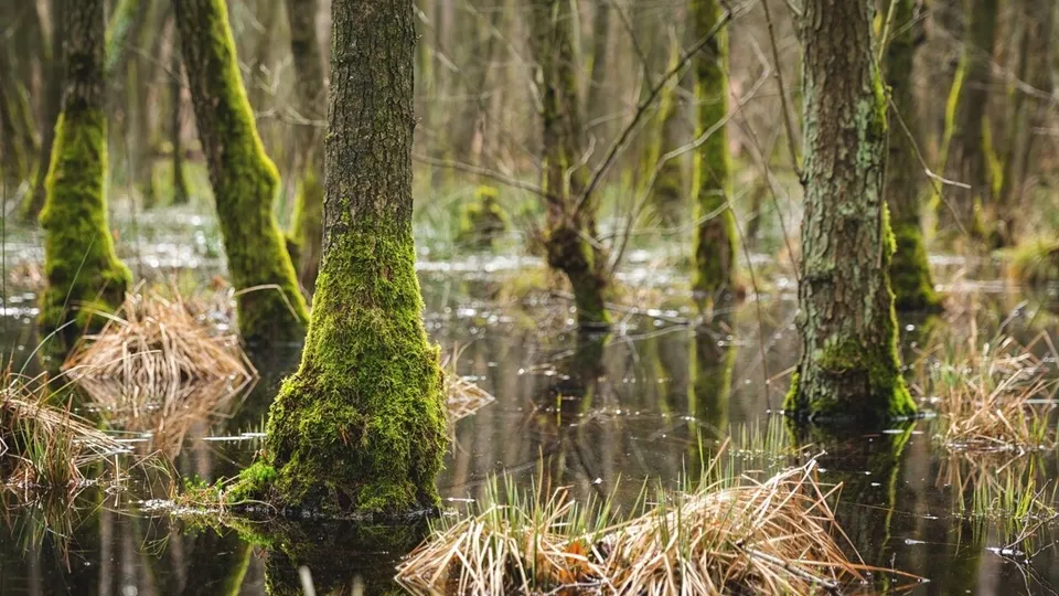 Фото: freepik.com