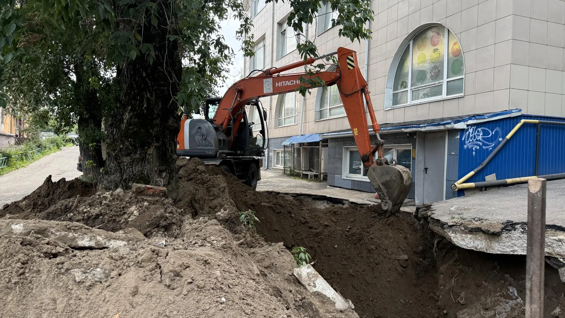 Фото: Анна Дука