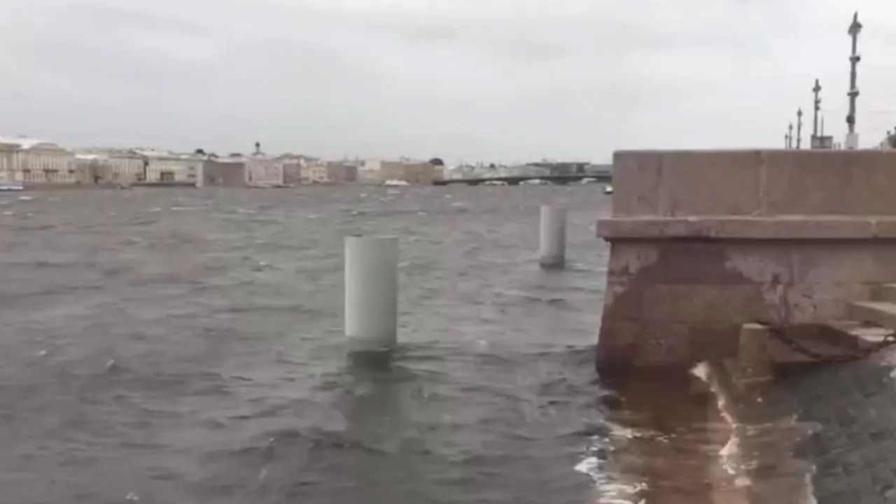 соцсети