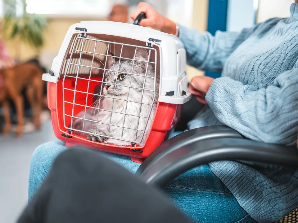 Фото: istockphoto.com