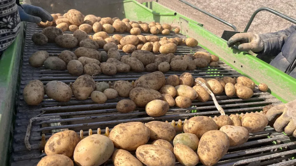 Фото: МедиаБанк Подмосковья/Ангелина Стельмух