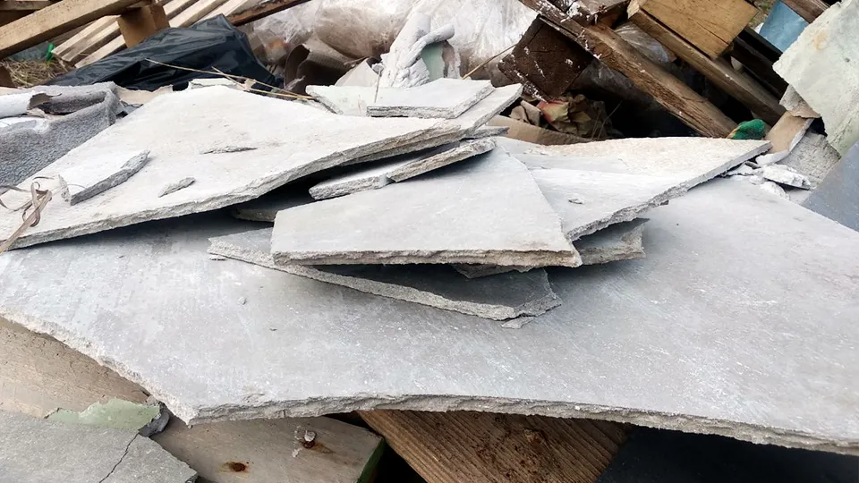 Фото: МедиаБанк Подмосковья/Евгений Рой