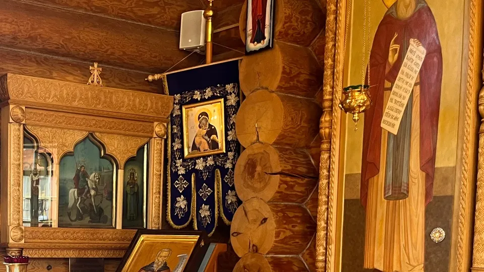 Фото: Медиабанк Подмосковья/Ангелина Стельмух